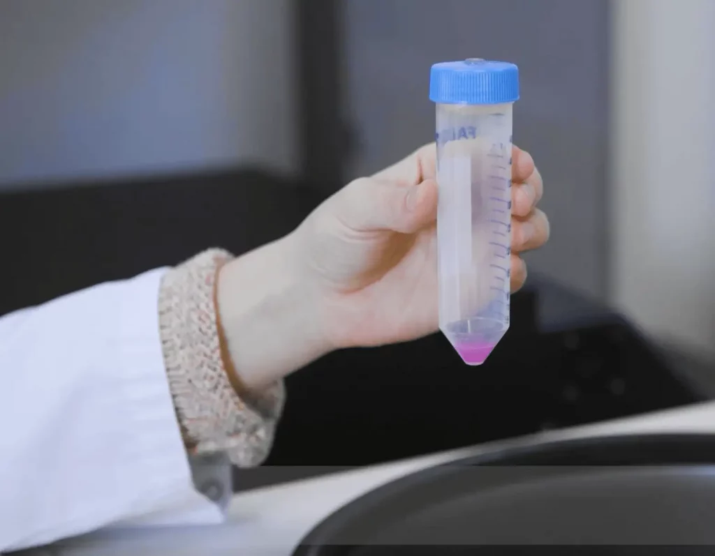 Hand holding a 50 ml centrifuge tube with blue cap and pink solution for tissue processing.