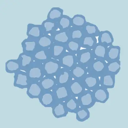 Schematic illustration of clustered cells representing tissue structure before dissociation.