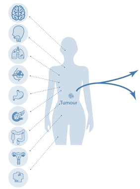 Schematic illustration of human tissue sources for cell isolation and research applications.