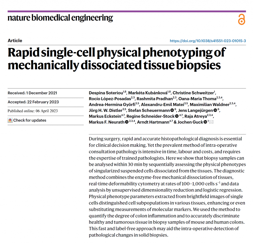 Rapid single-cell physical phenotyping of mechanically dissociated tissue biopsies