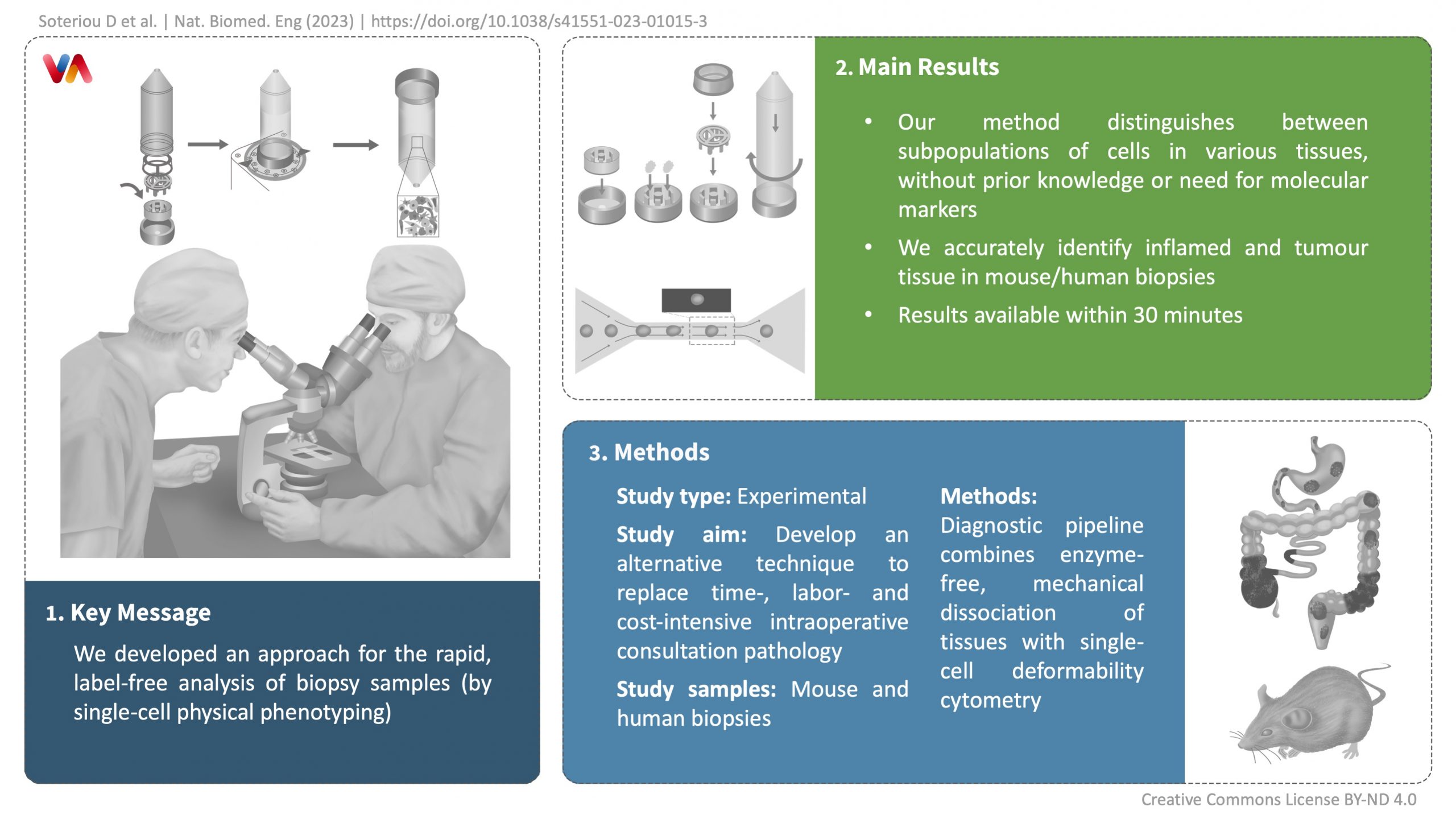 VisualAbstract Nature Deformability-Cytometry of mechanically dissociated Tissue-Samples