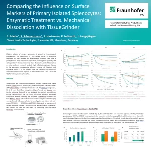 Fraunhofer IPA study comparing TissueGrinder mechanical dissociation vs enzymatic digestion and GentleMACS for splenocyte isolation.