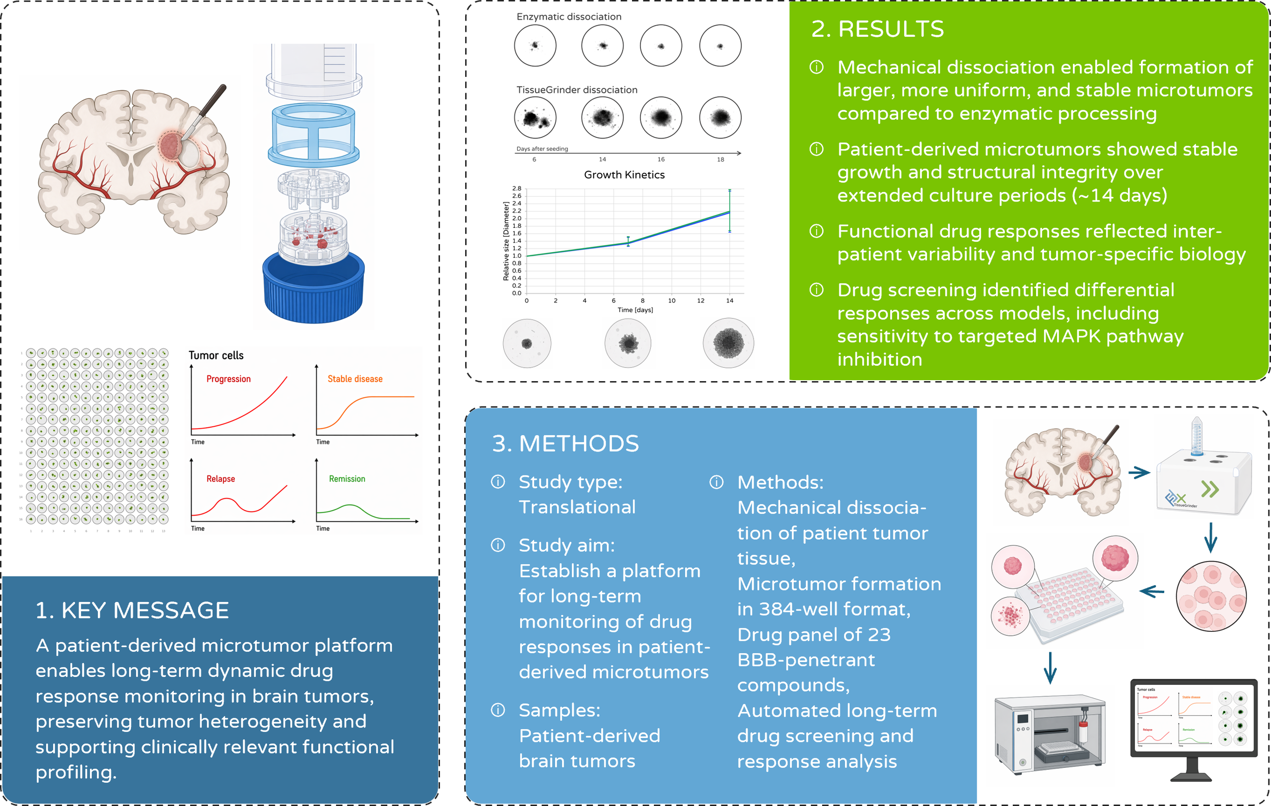 Visual abstract of patient-derived 3D microtumor platform for long-term drug and immunotherapy screening in brain tumors
